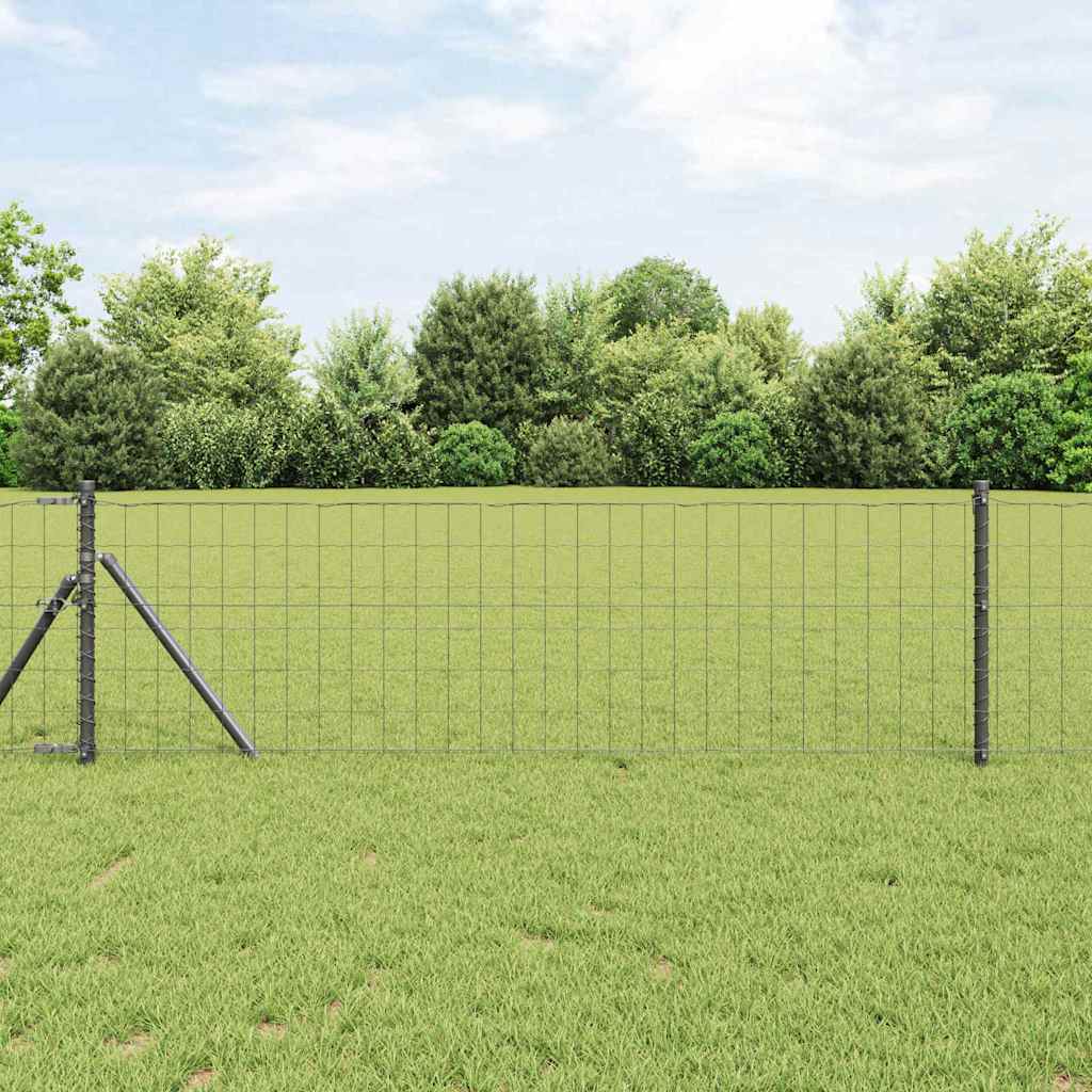 Žogs ar stabiem Pelēks 0,6 x 10 m Tērauds