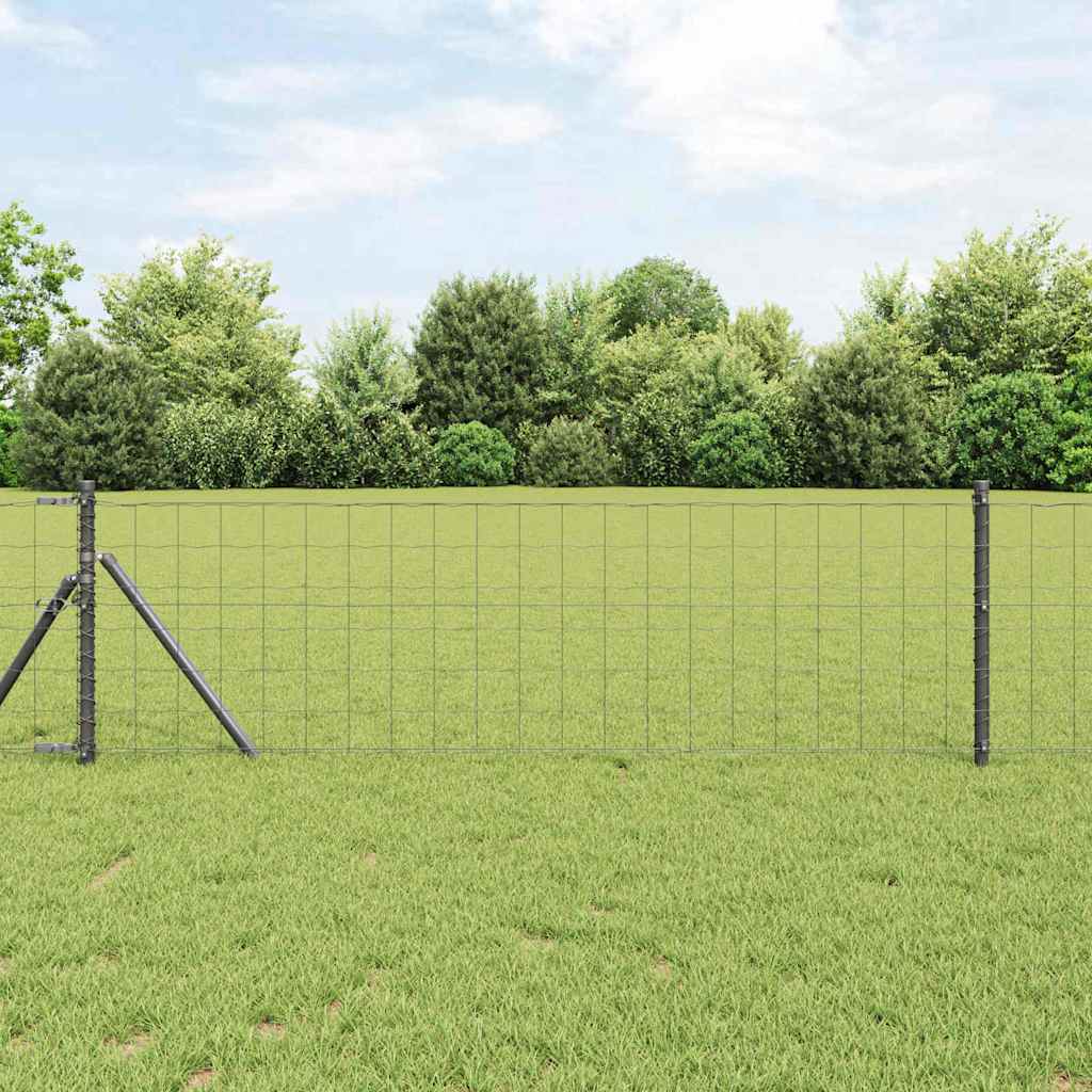 Žogs ar stabiem Pelēks 0.8 x 10 m Tērauds