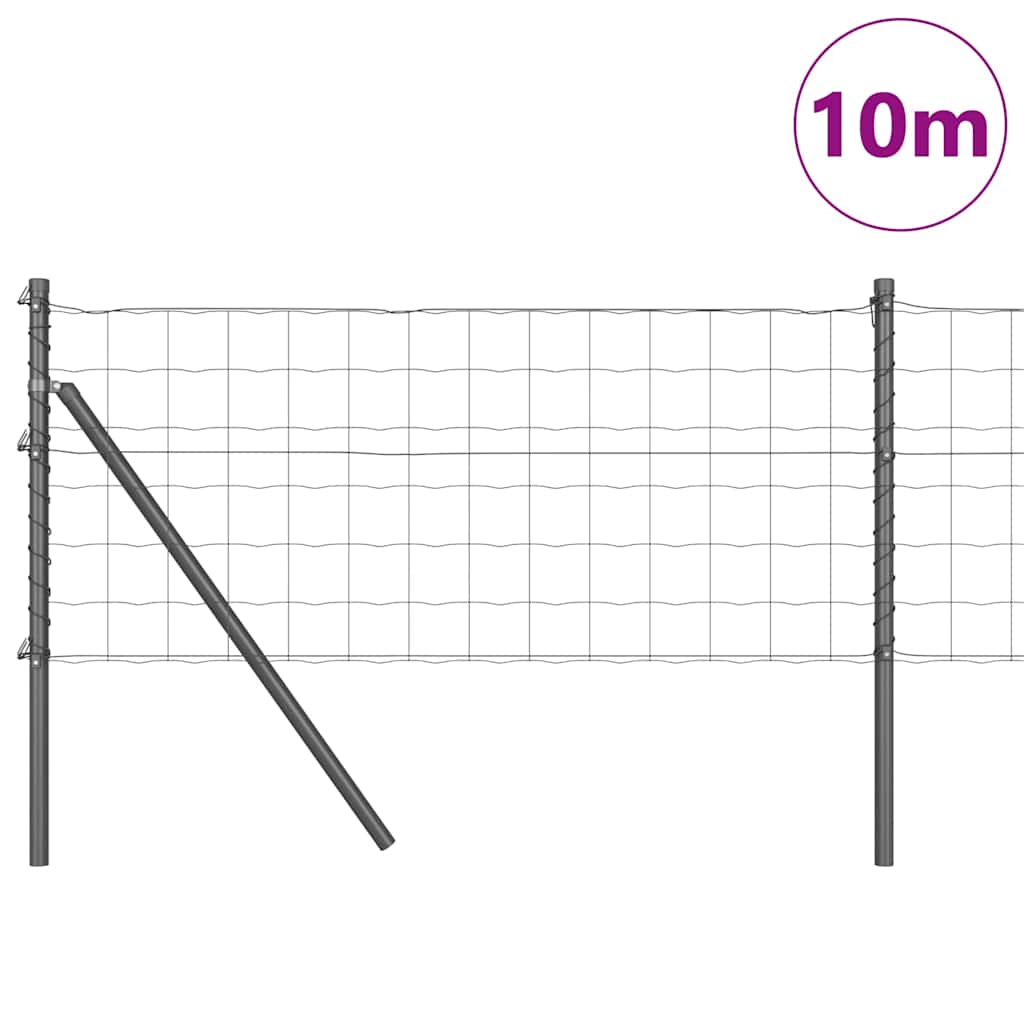 Žogs ar stabiem Pelēks 0.8 x 10 m Tērauds