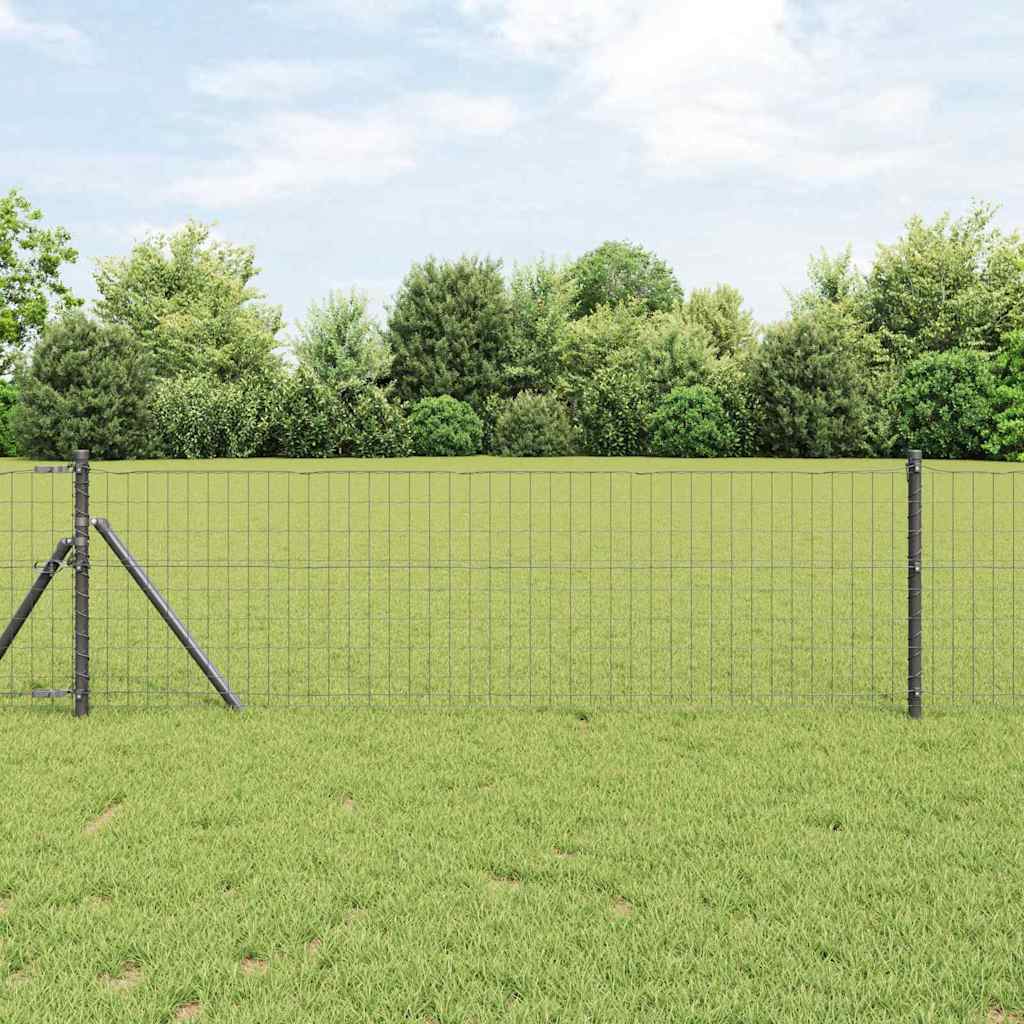 Žogs ar stabiem Pelēks 0,6 x 25 m Tērauds