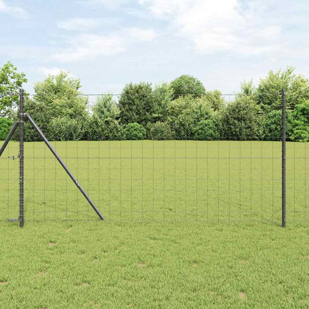 Žogs ar stabiem Pelēks 1,2 x 25 m Tērauds