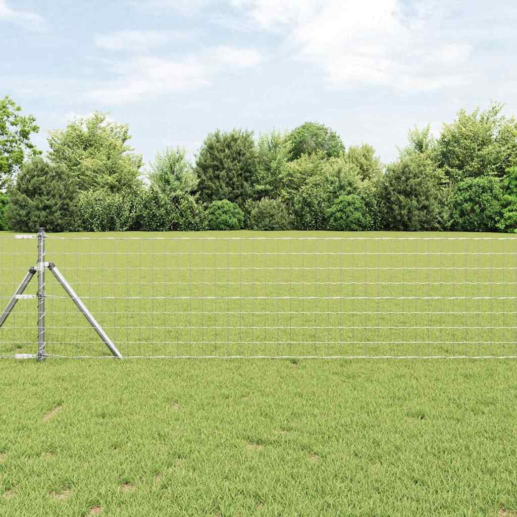 Žogs ar stabiem Sudraba 0.6 x 25 m Tērauds