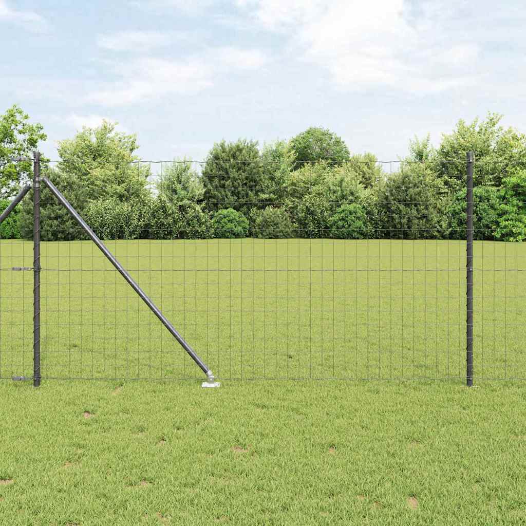 Žogs ar stabiem Pelēks 1 x 10 m Tērauds