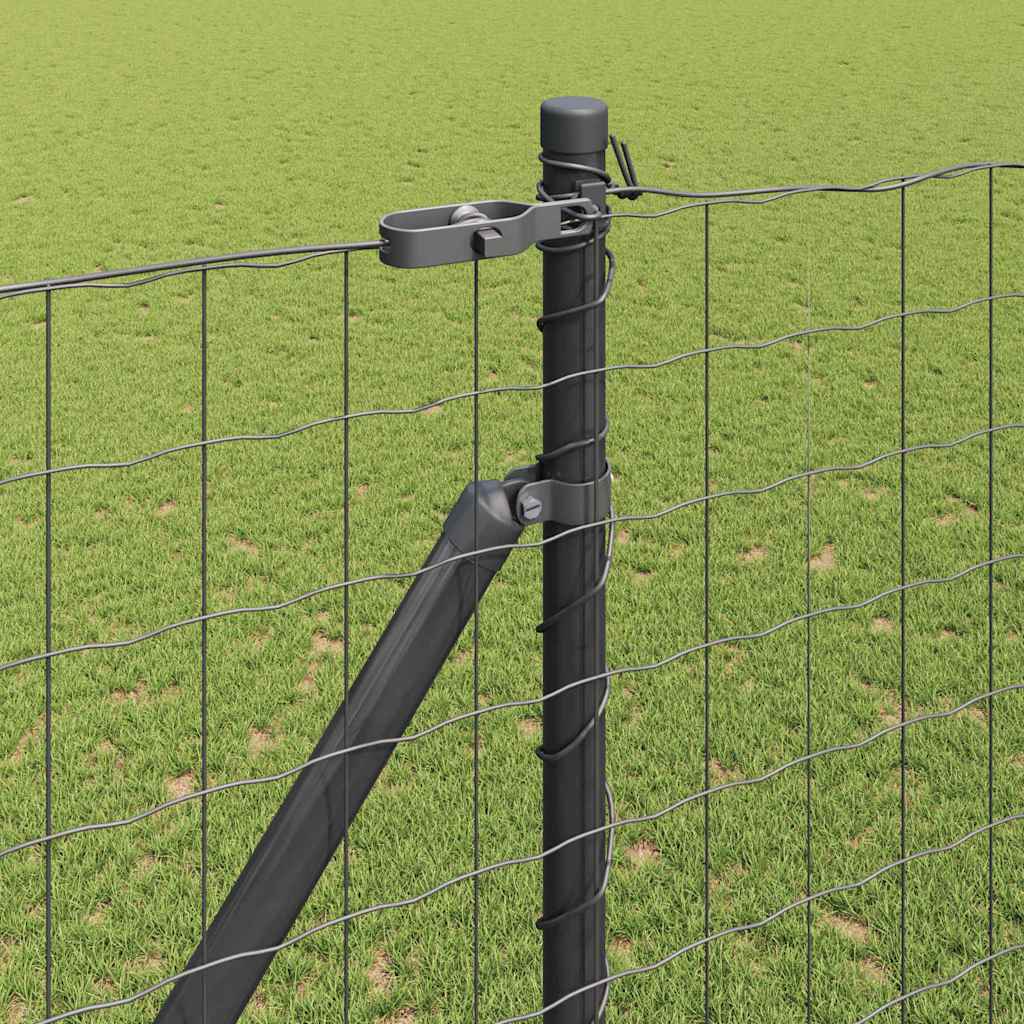 Žogs ar stabiem Pelēks 1.6 x 10 m Tērauds