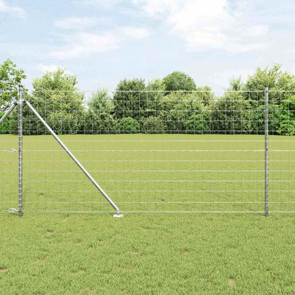 Žoga ar stabiem Sudraba 1 x 10 m Tērauds