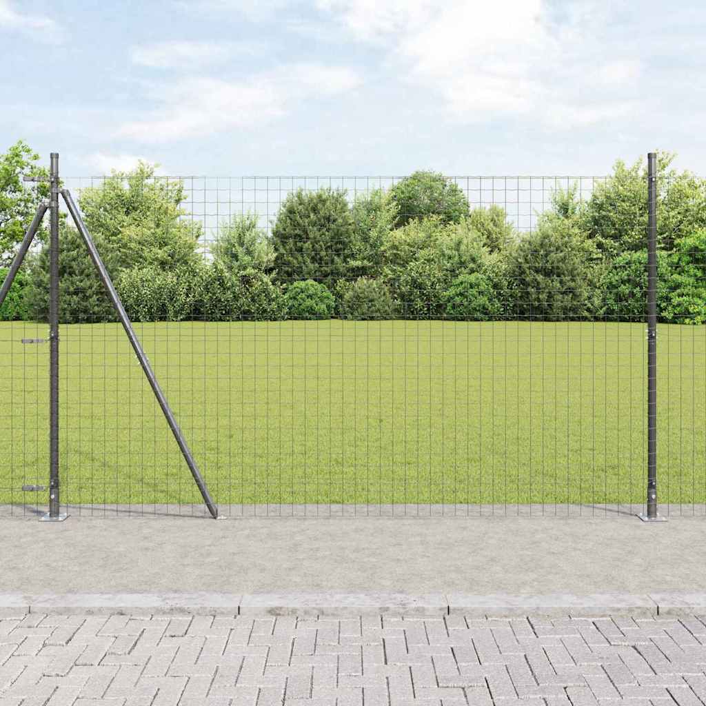 Žogs ar stabiem Pelēks 1.6 x 10 m Tērauds