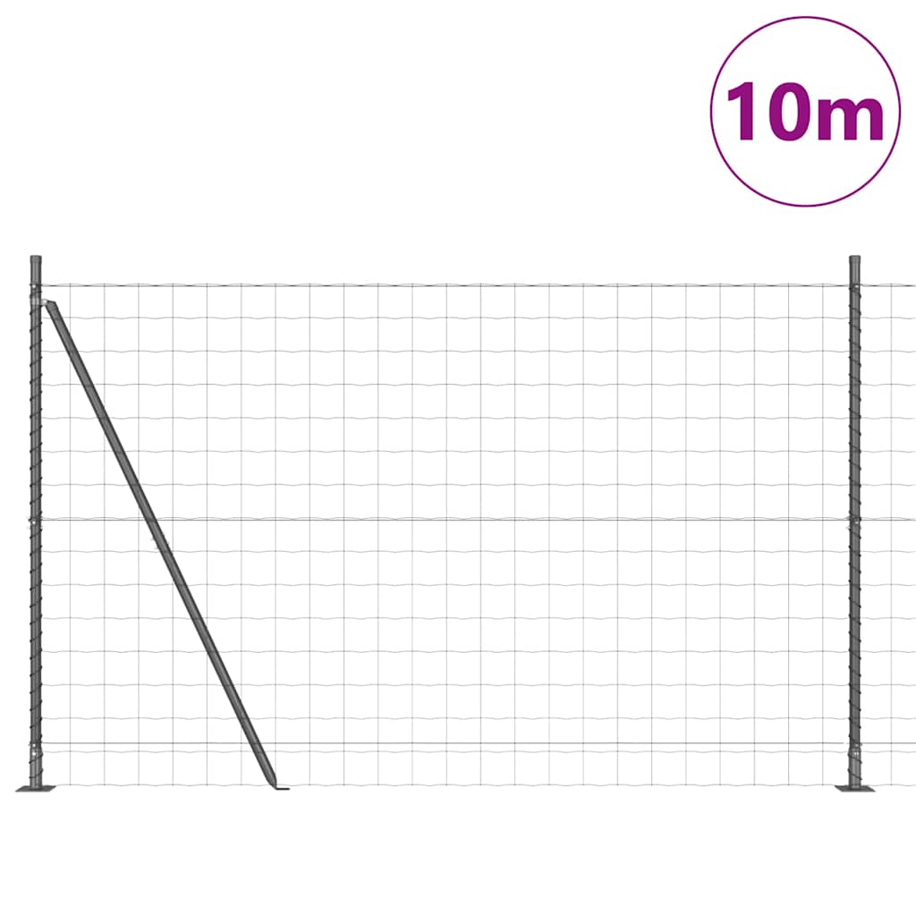 Žogs ar stabiem Pelēks 1.6 x 10 m Tērauds