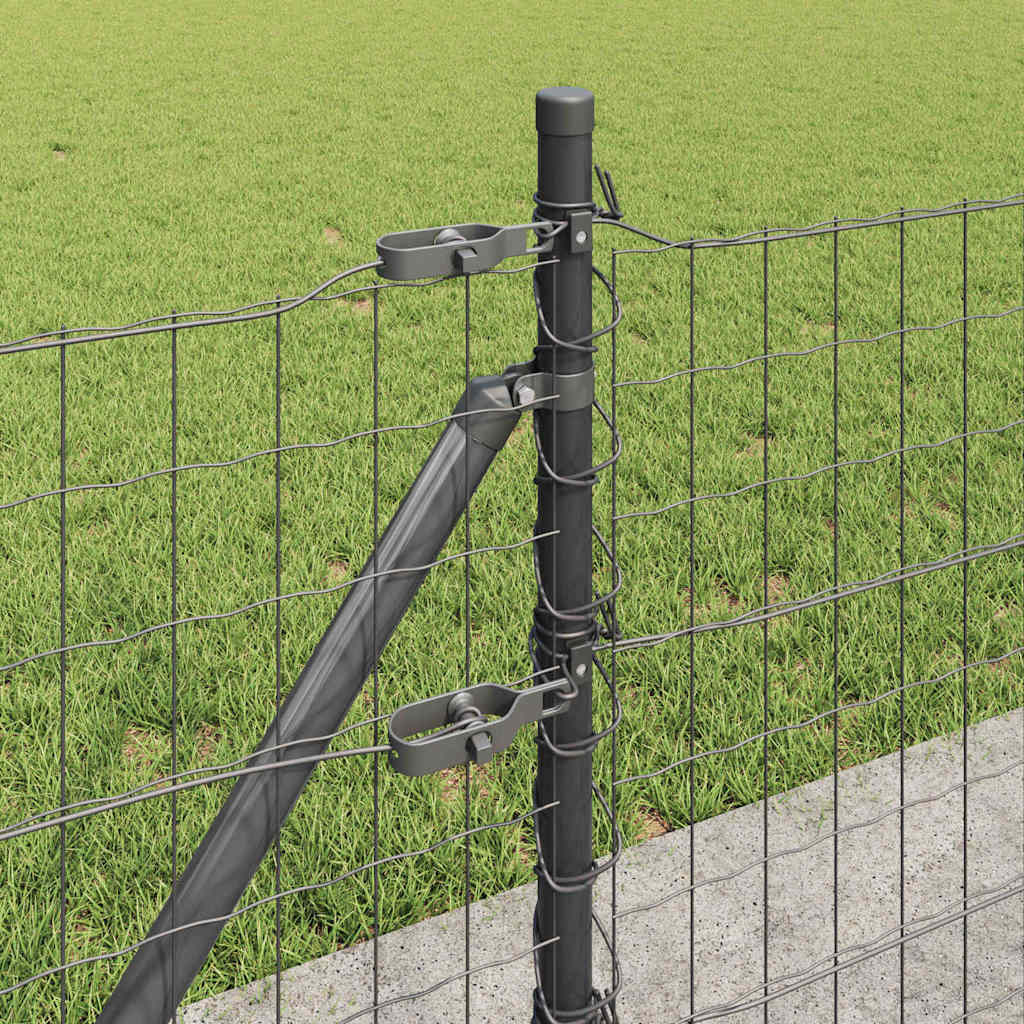 Žogs ar stabiem Pelēks 0.6 x 50 m Tērauds