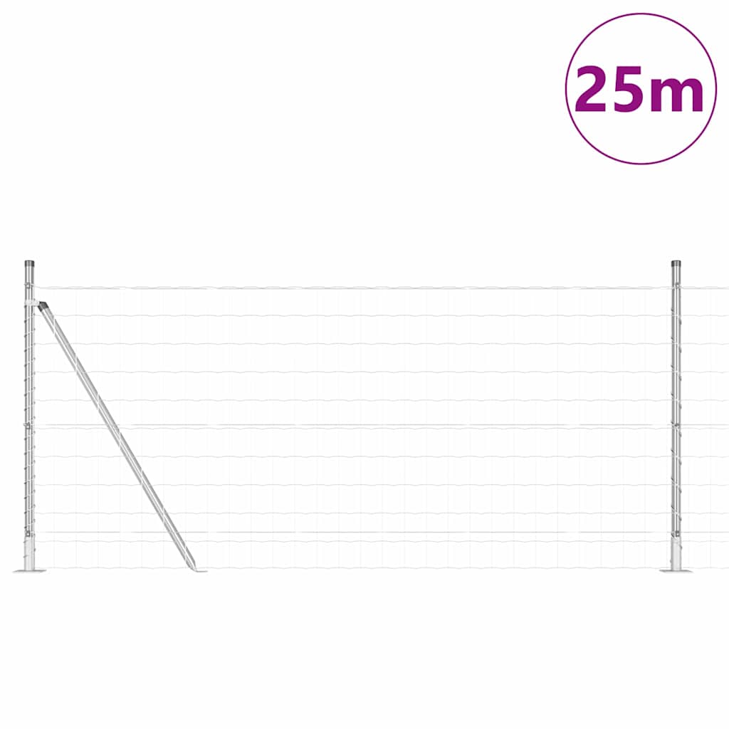 Žogs ar stabiem Sudrabs 0.8 x 25 m Tērauds