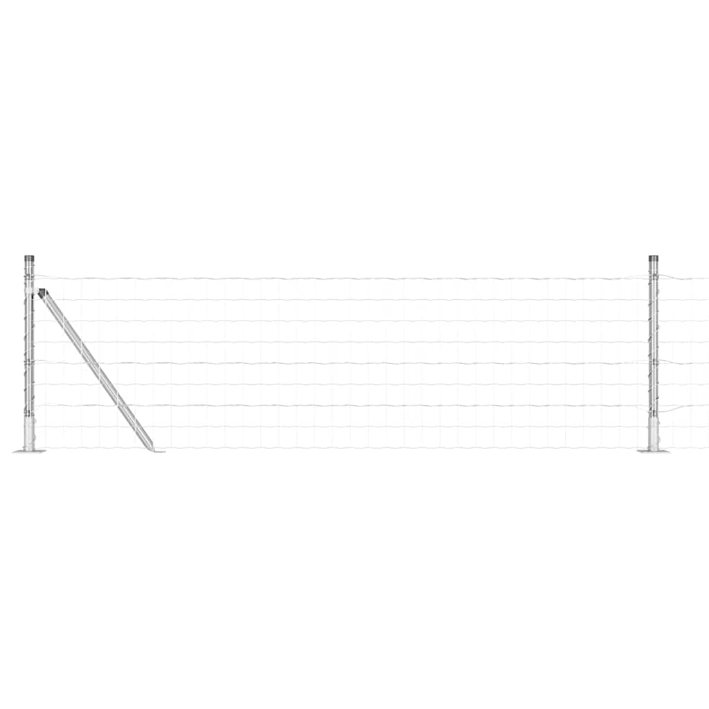 Žogs ar stabiem Sudraba 0.4 x 25 m Tērauds