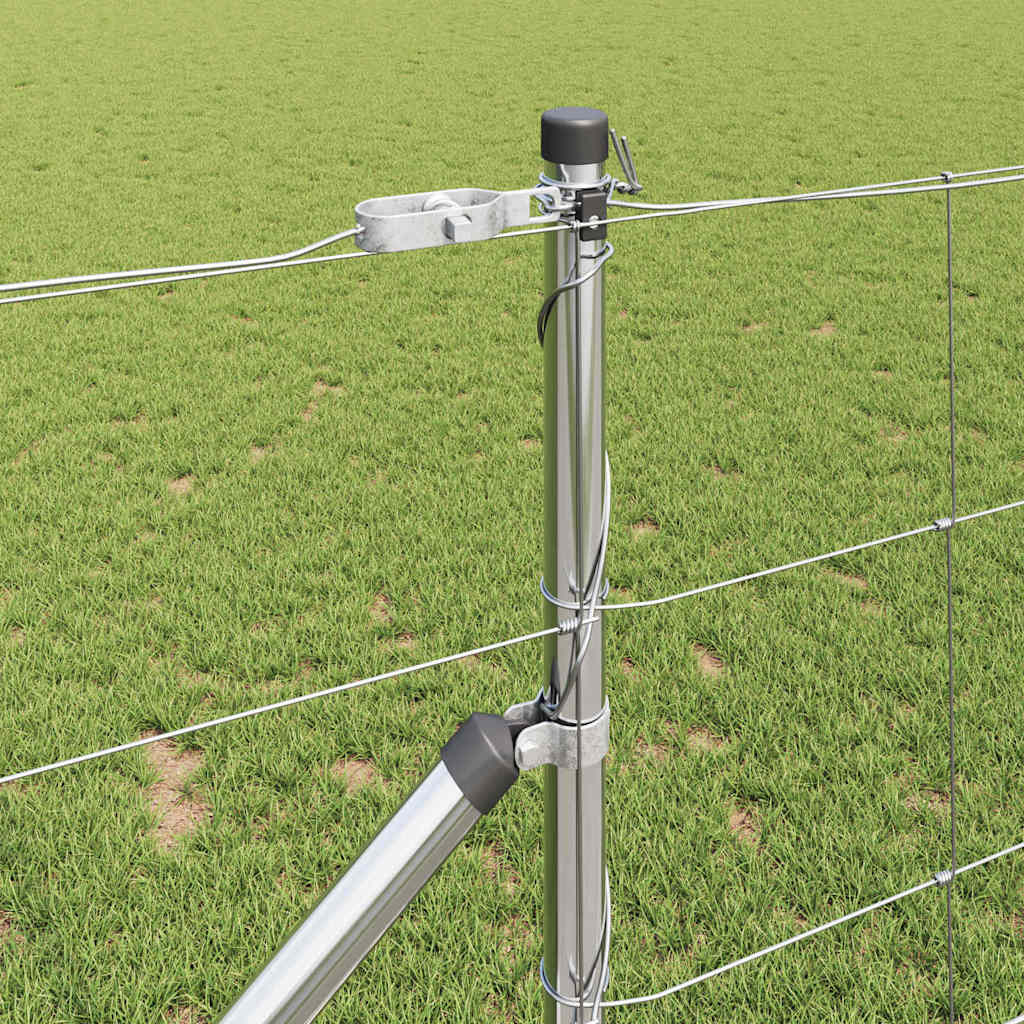 Ganību žogs Sudraba 100 x 1 m Galvanizēts tērauds