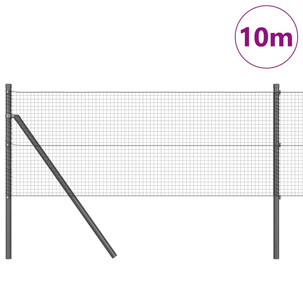 Žogs ar stabiem Pelēks 0.8 x 10 m Tērauds