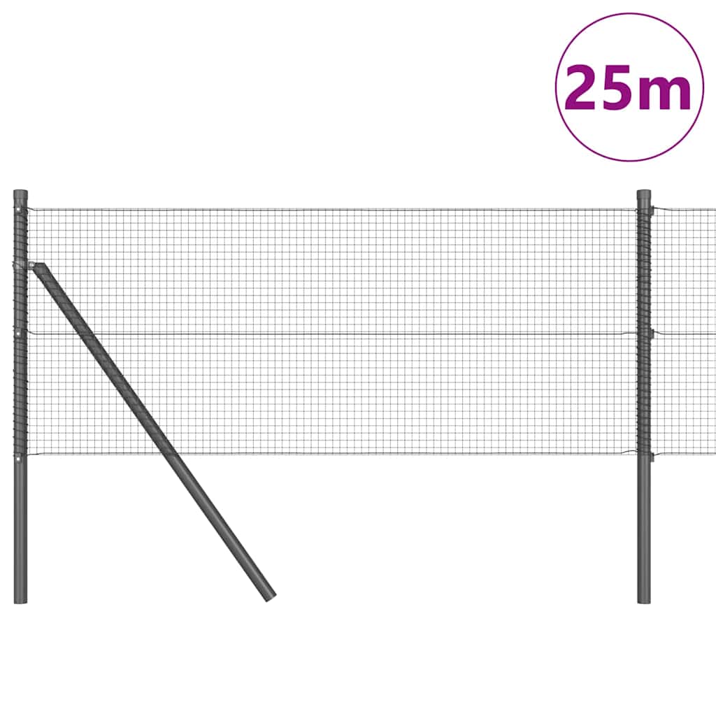 Žogs ar stabiem Pelēks 0,5 x 25 m Tērauds