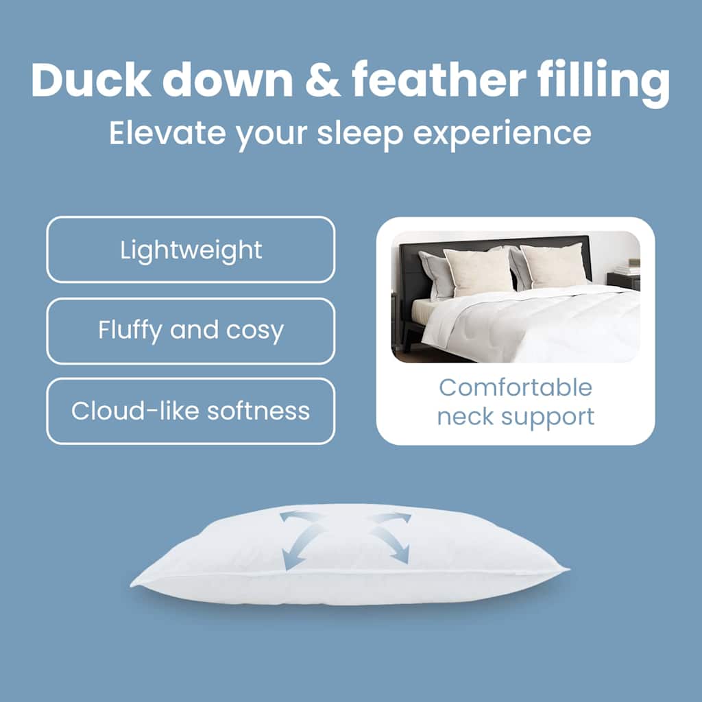 Pillow with pillowcase 2 pcs White 50 x 75 cm Feather