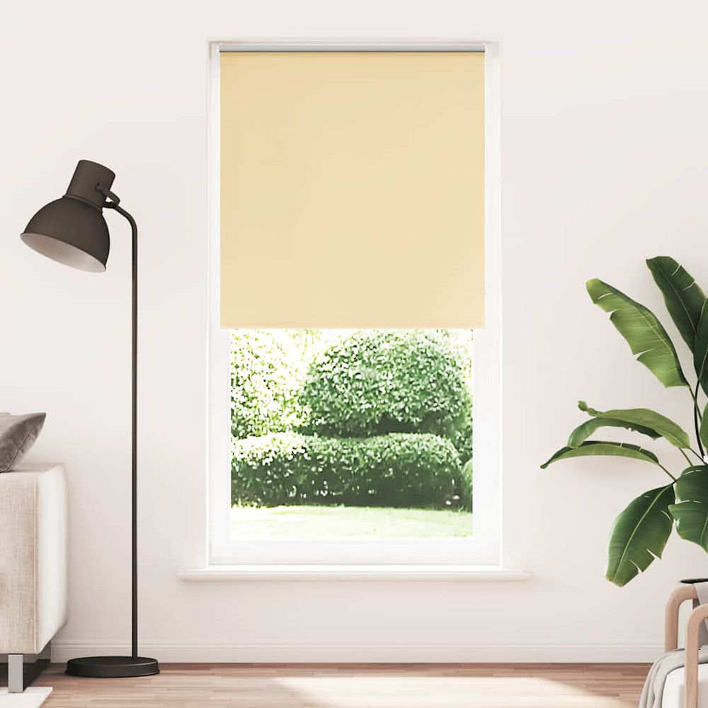 roletas smėlio spalvos 100x210 cm audinio plotis 95,7 cm
