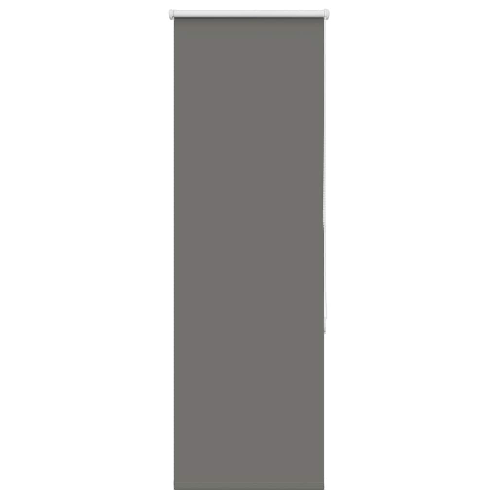 roletas Pilka 45x130 cm audinio plotis 40,7 cm poliesteris