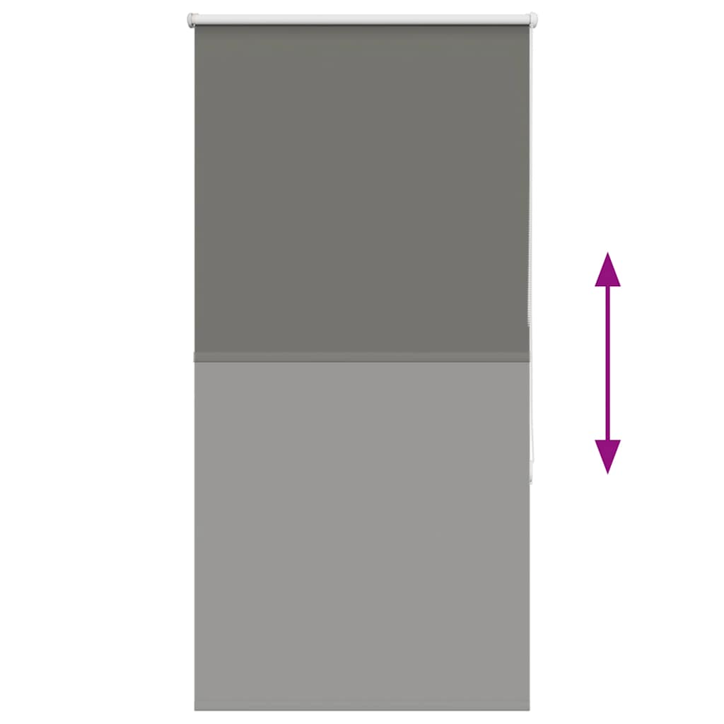 roletas Pilka 70x150 cm audinio plotis 65,7 cm poliesteris