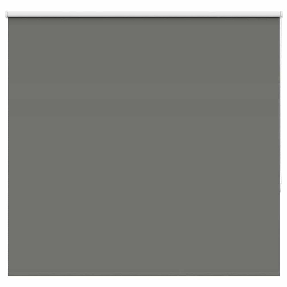 roletas smėlio Pilka 165x150 cm audinio plotis 161,6 cm