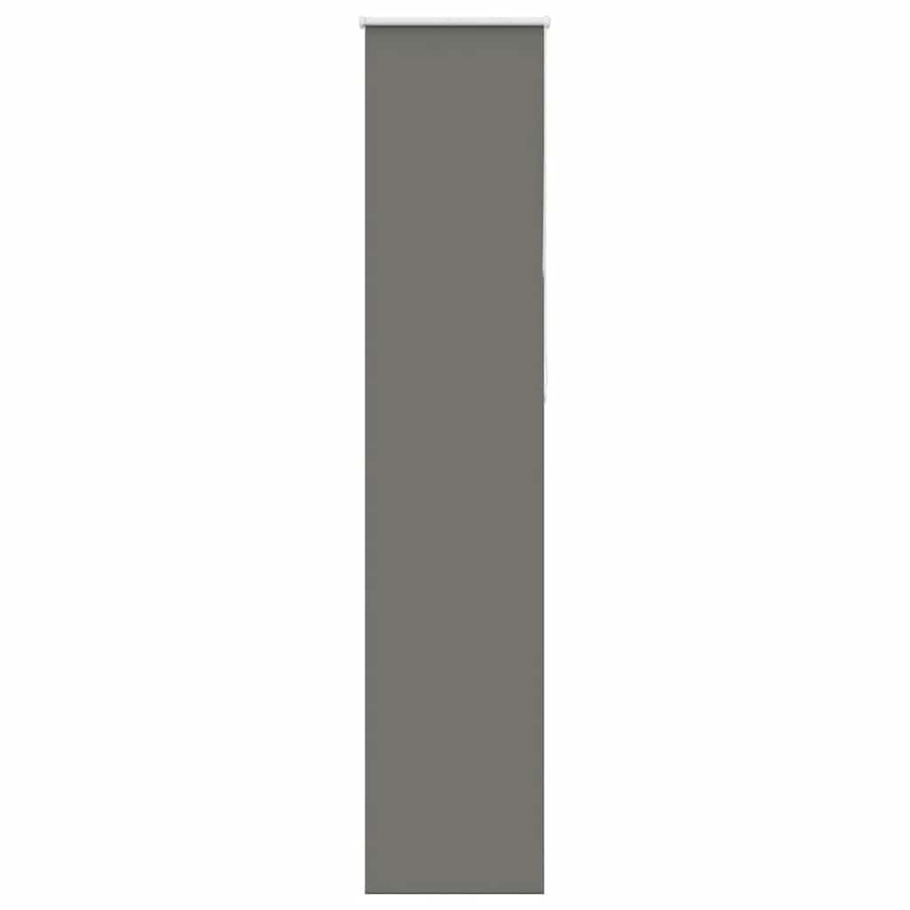 roletas smėlio Pilka 55x210 cm audinio plotis 50,7 cm
