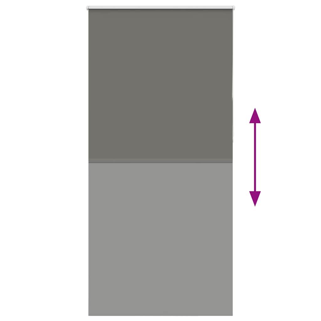 Rullo žalūzija Pelēka 100x210 cm auduma platums 95,7 cm poliesters