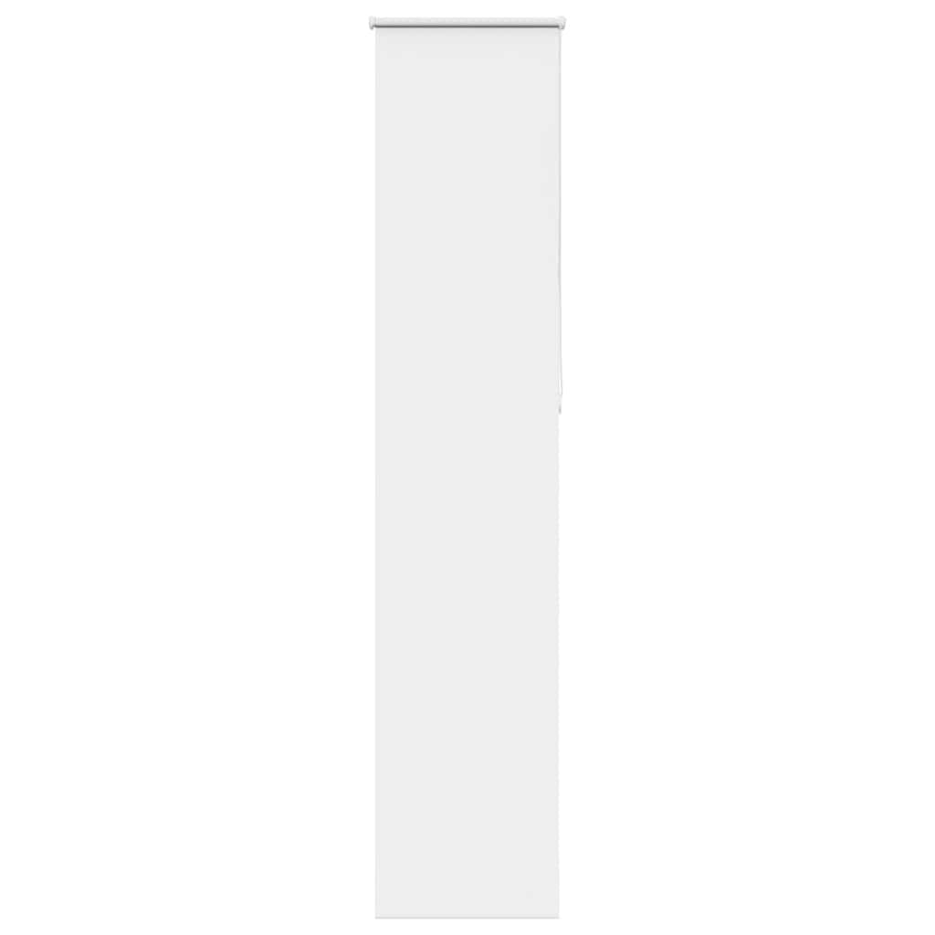 Night roller blind, white, 55x230 cm, fabric width 50.7 cm