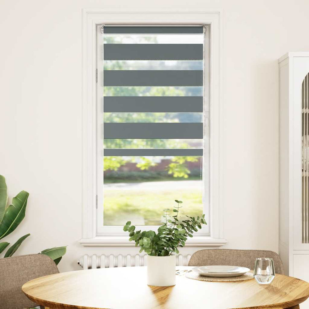 zebrinės žaliuzės 60x100 cm audinio plotis 55,9 cm poliesteris