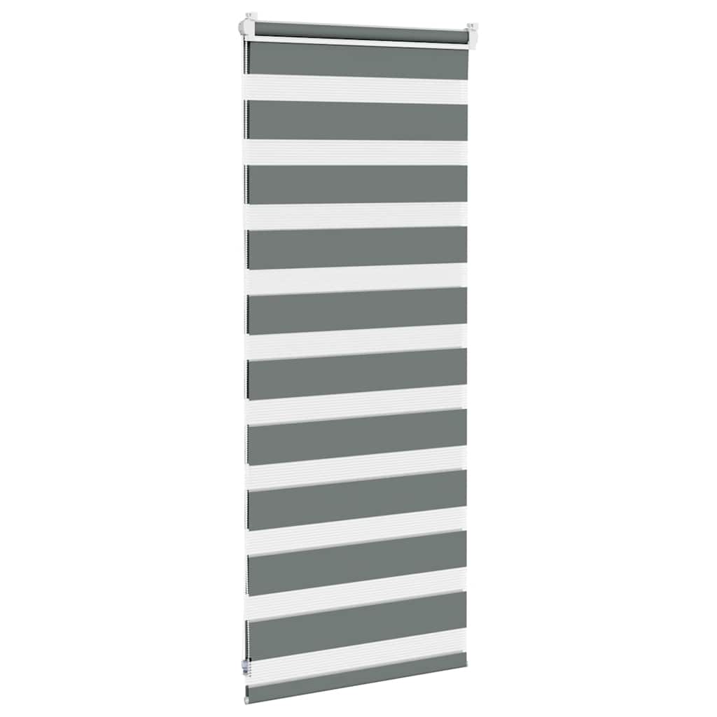 zebrinės žaliuzės 60x100 cm audinio plotis 55,9 cm poliesteris