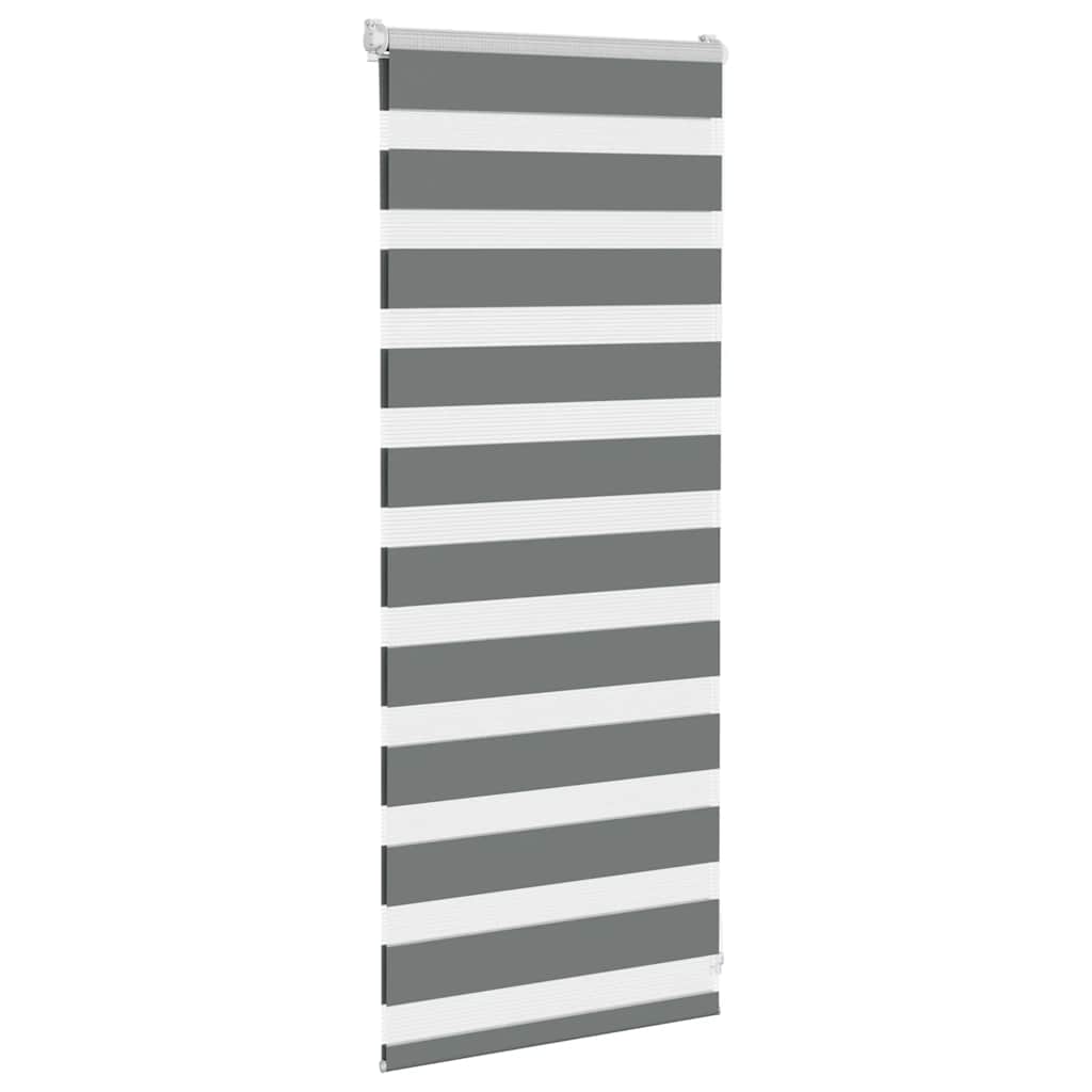zebrinės žaliuzės 65x100 cm audinio plotis 60,9 cm poliesteris