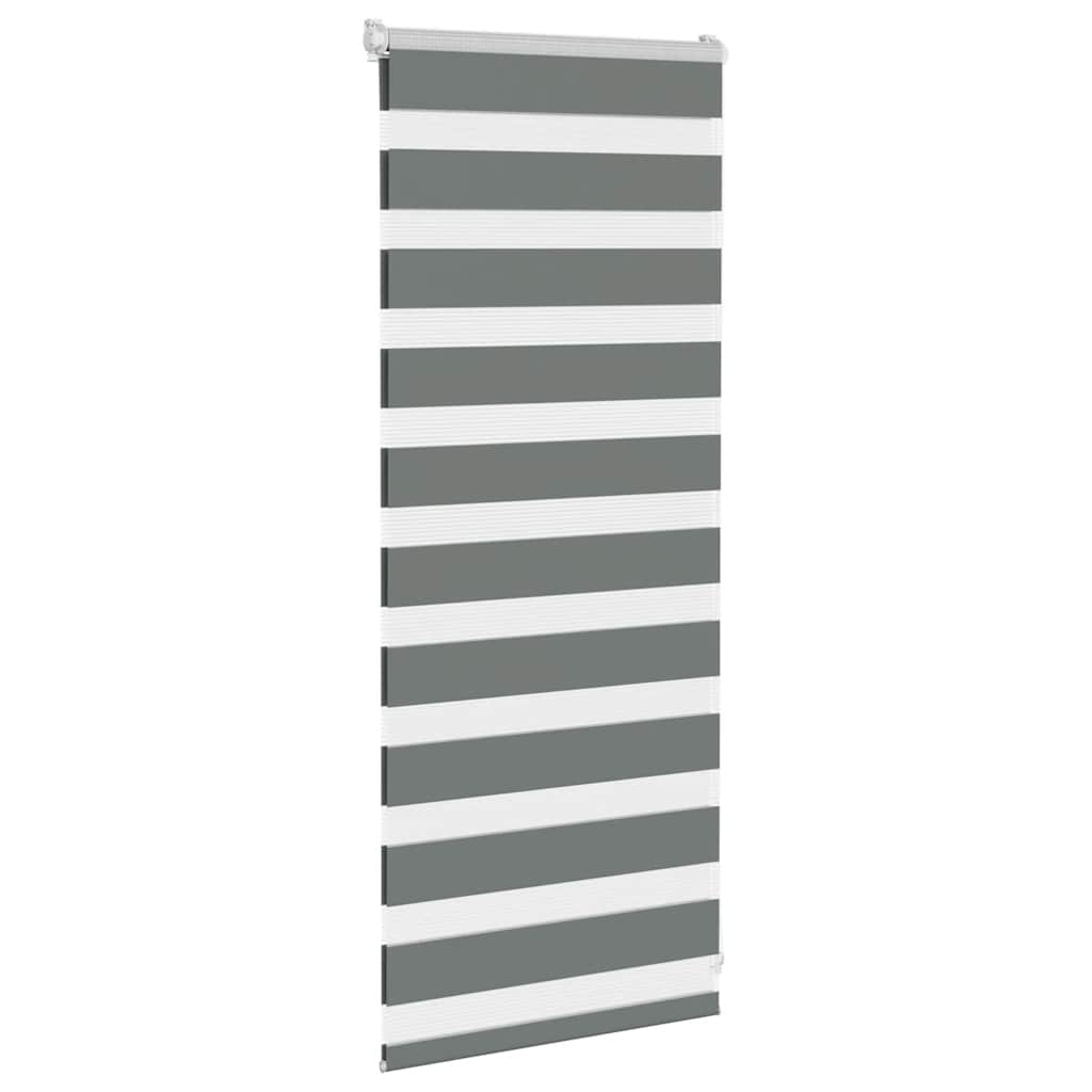 zebrinės žaliuzės 65x100 cm audinio plotis 60,9 cm poliesteris