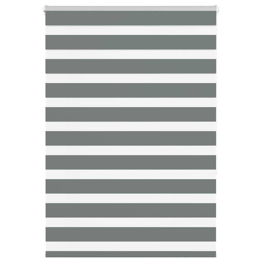 Day-night blinds 100x150 cm fabric width 95.9 cm polyester