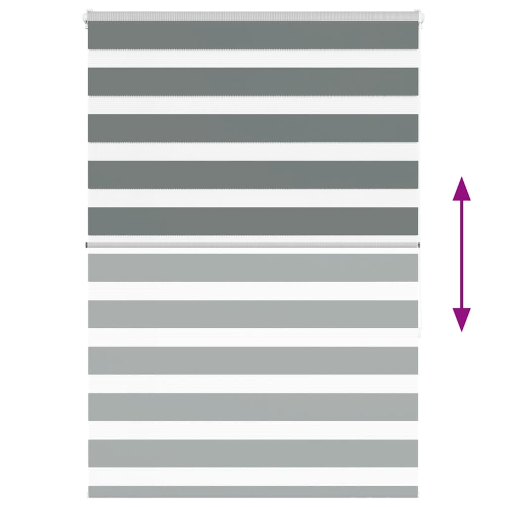 Day-night blinds 100x150 cm fabric width 95.9 cm polyester
