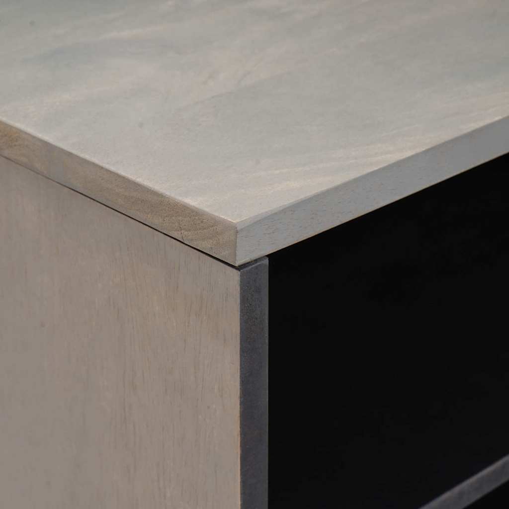 Televizoriaus spintelė Pilkas ir auksinis 80 x 31.5 x 46 cm