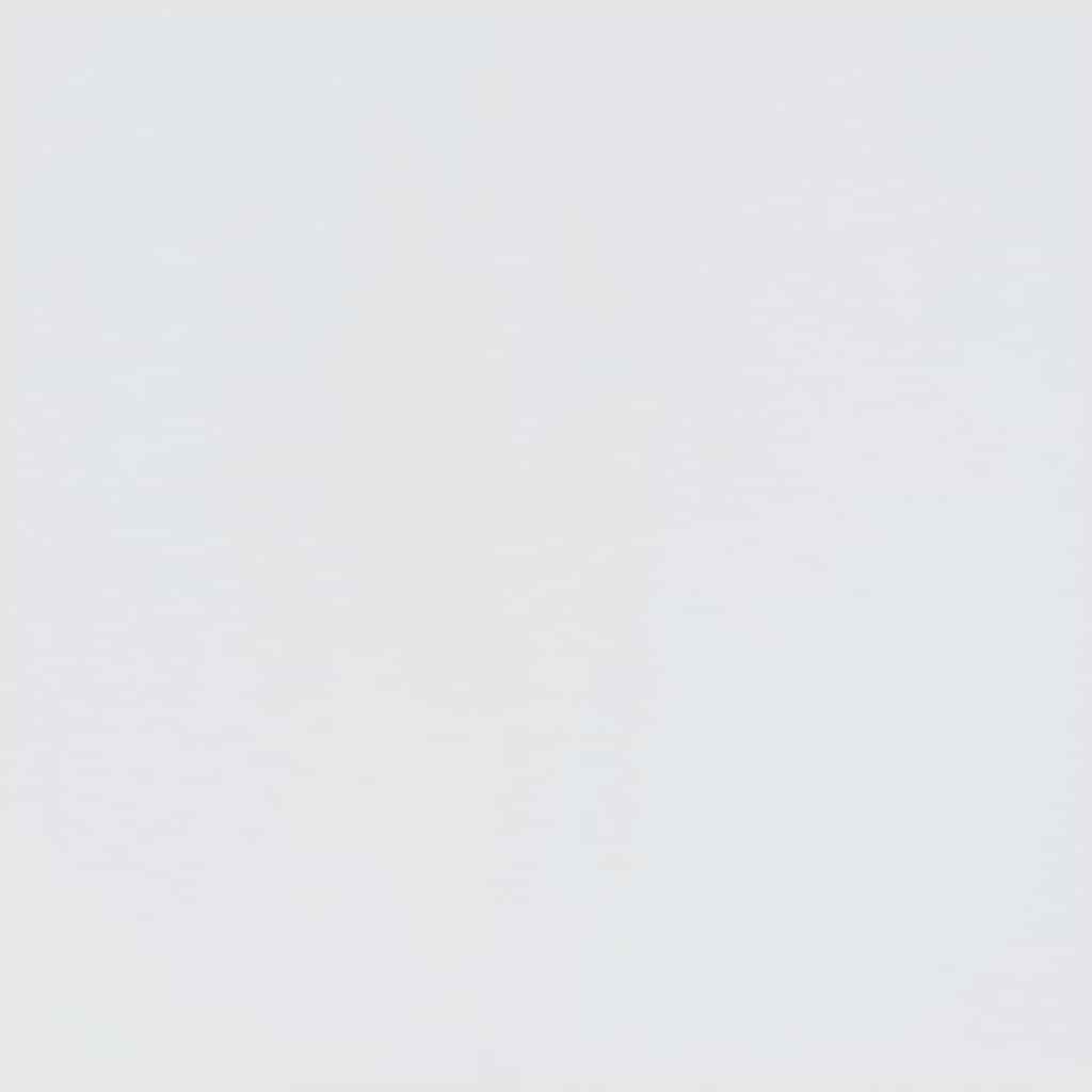 salės medis "SANDNES" baltas 45x40x159,5 pušies masyvo
