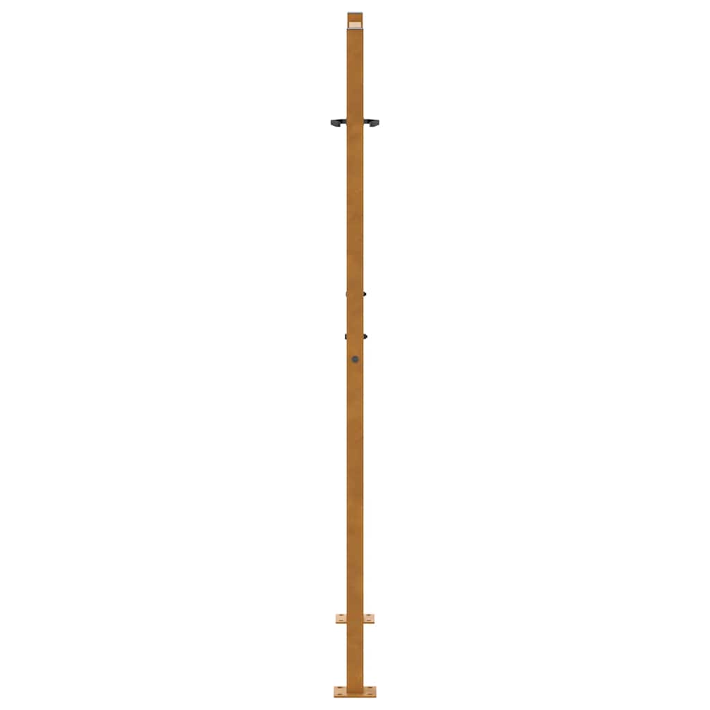 sodo vartai 105x155 cm atsparus atmosferos poveikiui plieno