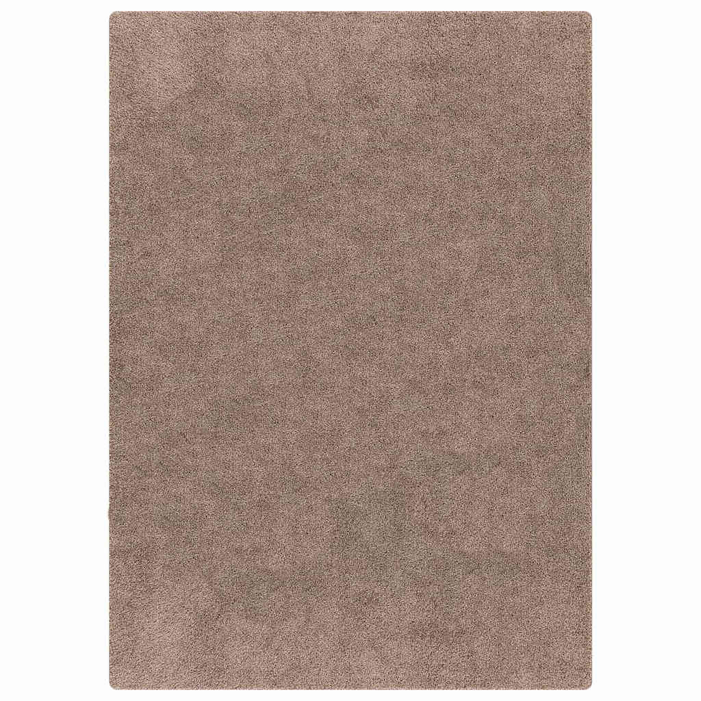 Neslystantis plaukuotas kilimas Ruda 240 x 340 cm PP