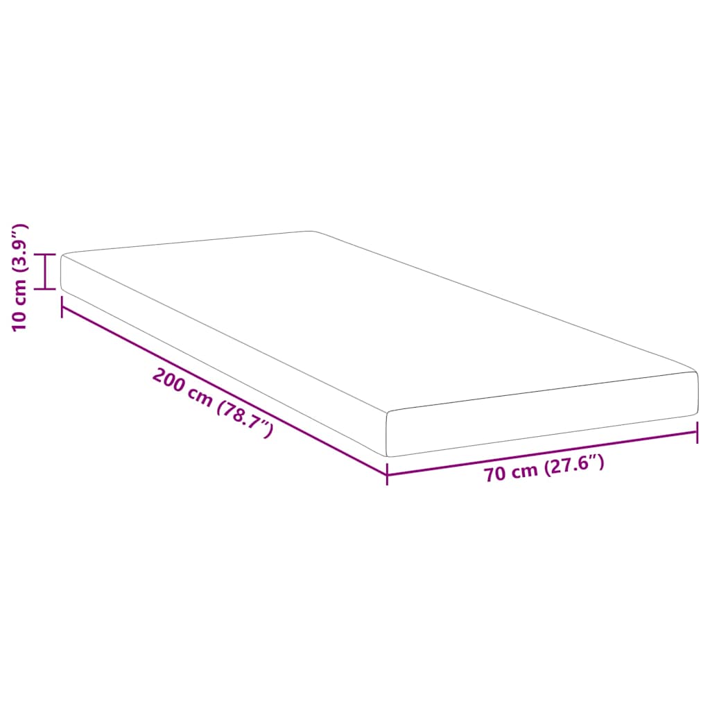 Miegamojo putų čiužinio užvalkalas 70 x 200 cm Thick Minkštas