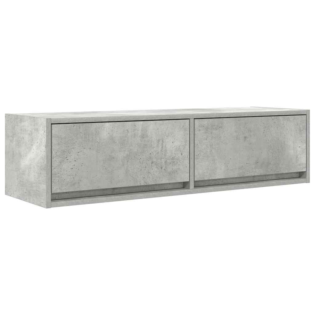 Televizoriaus spintelė Betono pilka 100 x 31 x 25.5 cm