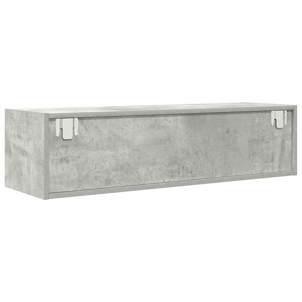 Televizoriaus spintelė Betono pilka 100 x 31 x 25.5 cm