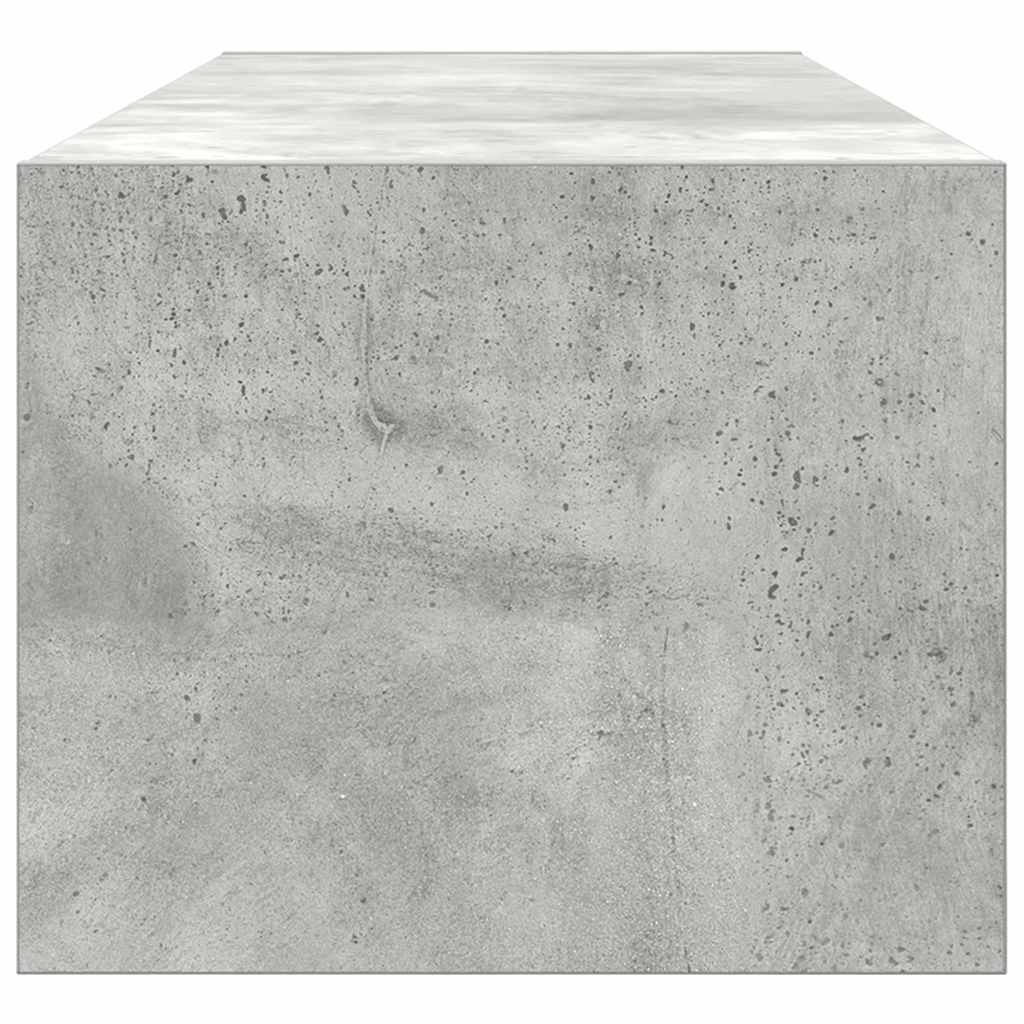 Televizoriaus spintelė Betono pilka 100 x 31 x 25.5 cm