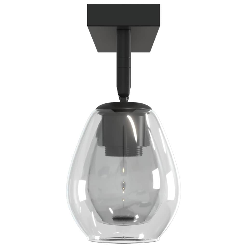 anthracite ceiling lights with adjustable glass shade, E27