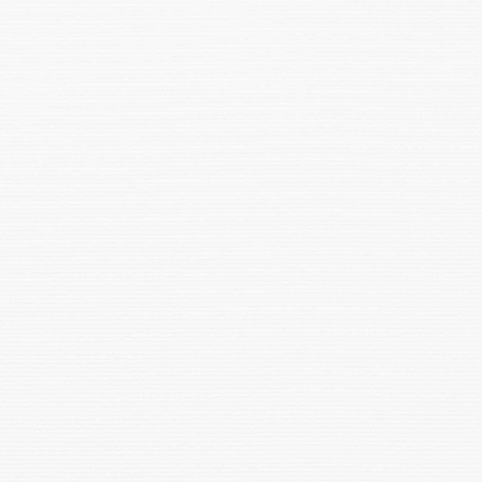 automatinė įtraukiama markizė balta 300x250 cm