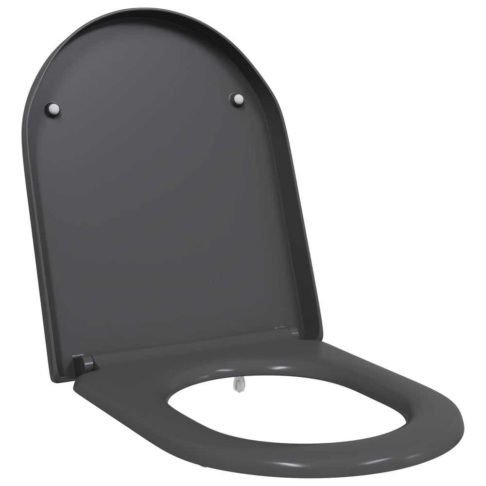 Quick Release Toilet Seat Anthracite 46.2 x 36 x 4.3 cm