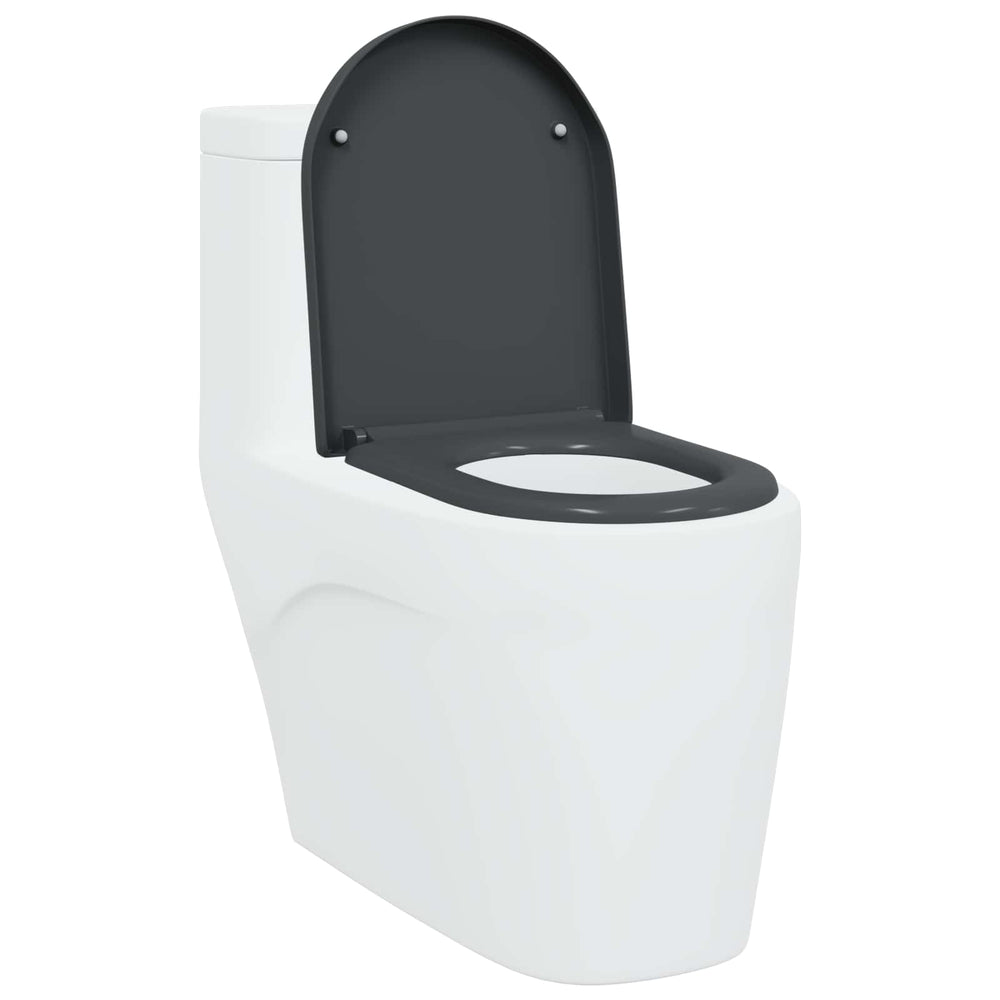 Quick Release Toilet Seat Anthracite 46.2 x 36 x 4.3 cm