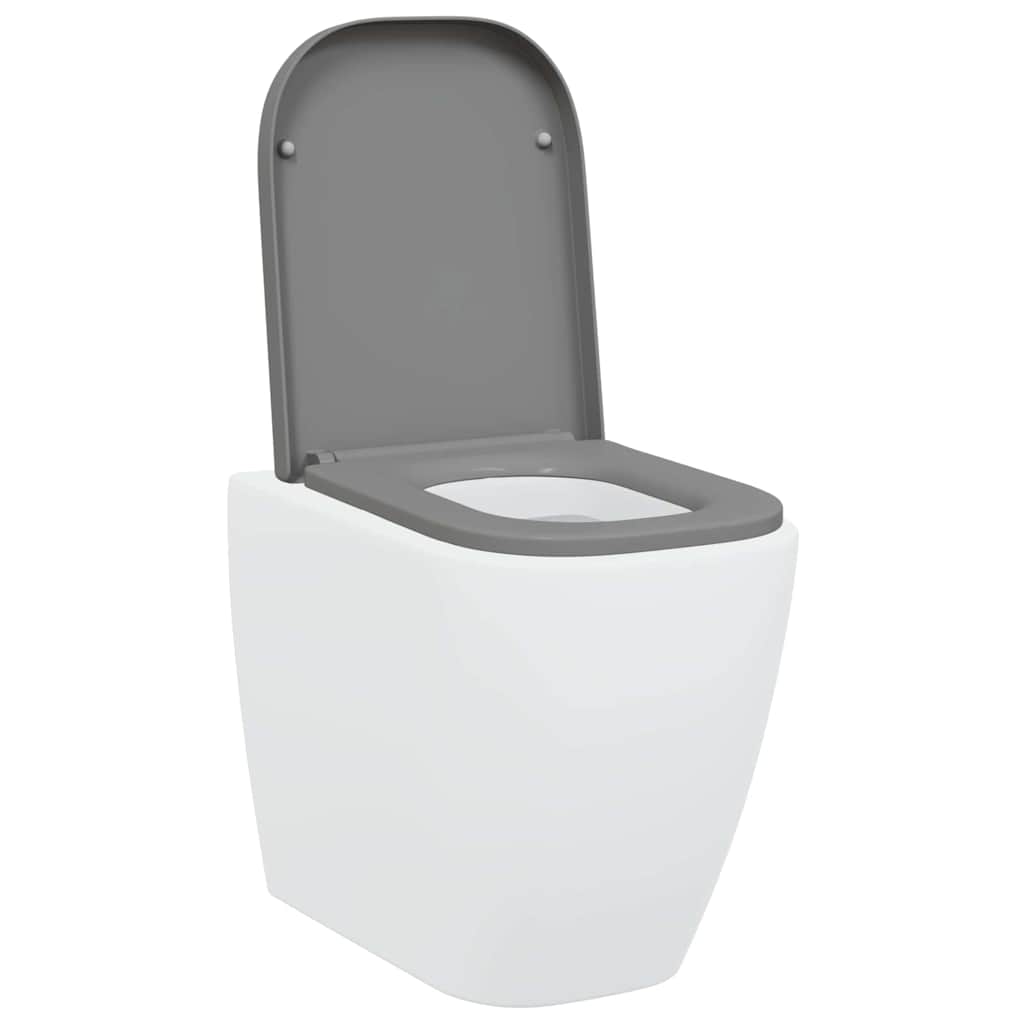 Greito atleidimo tualeto sėdynė Pilka 44.5 x 35 x 3.6 cm