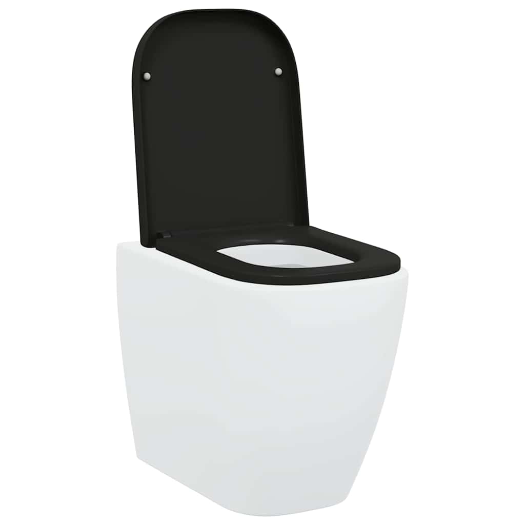 Greito atleidimo tualeto sėdynė Juoda 44.5 x 35 x 3.6 cm