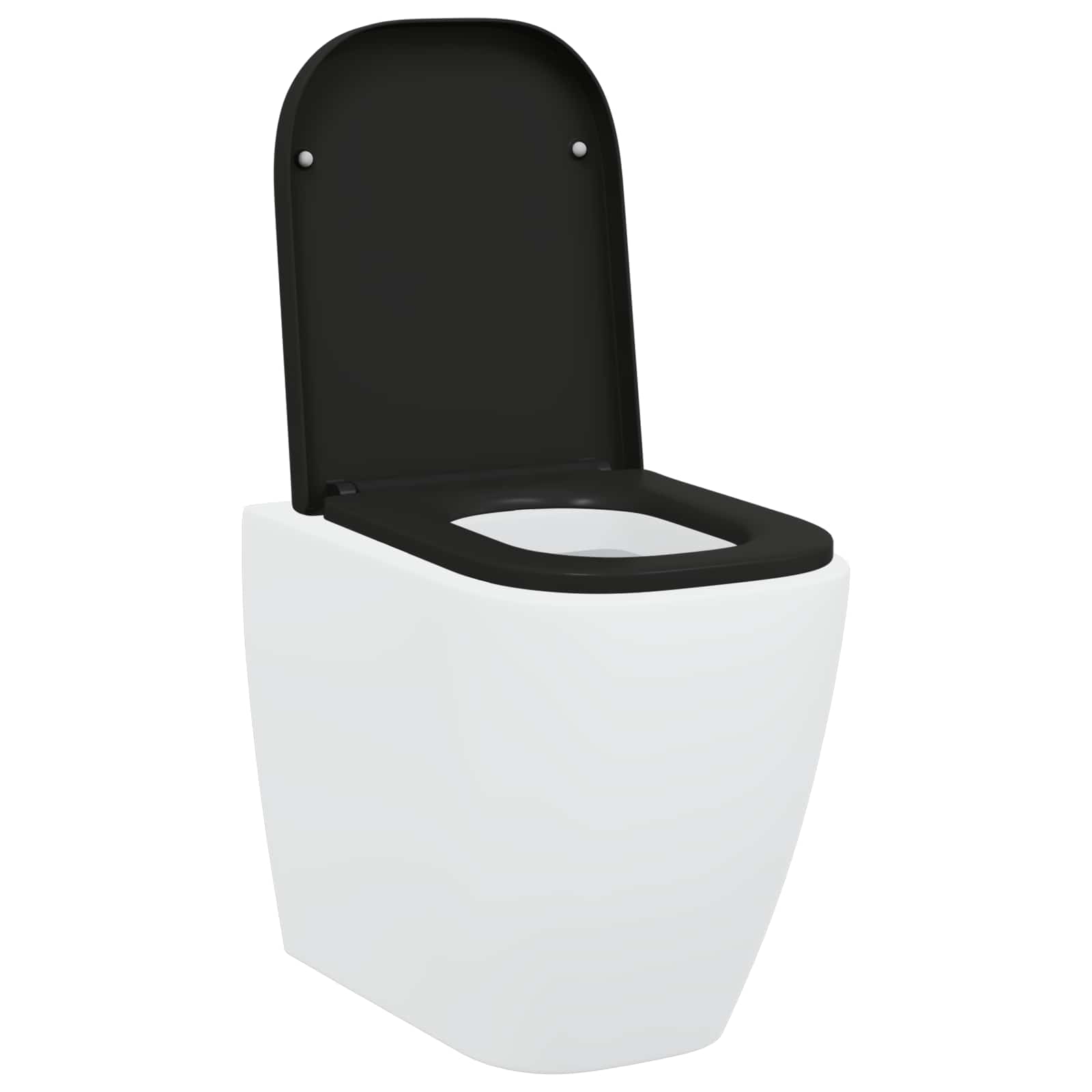Quick-release Toilet Seat Black 44.5 x 35 x 3.6 cm