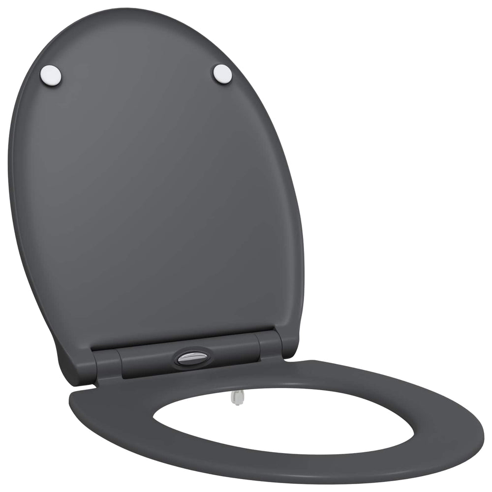 Quick release toilet, suitable for Anthracite seats