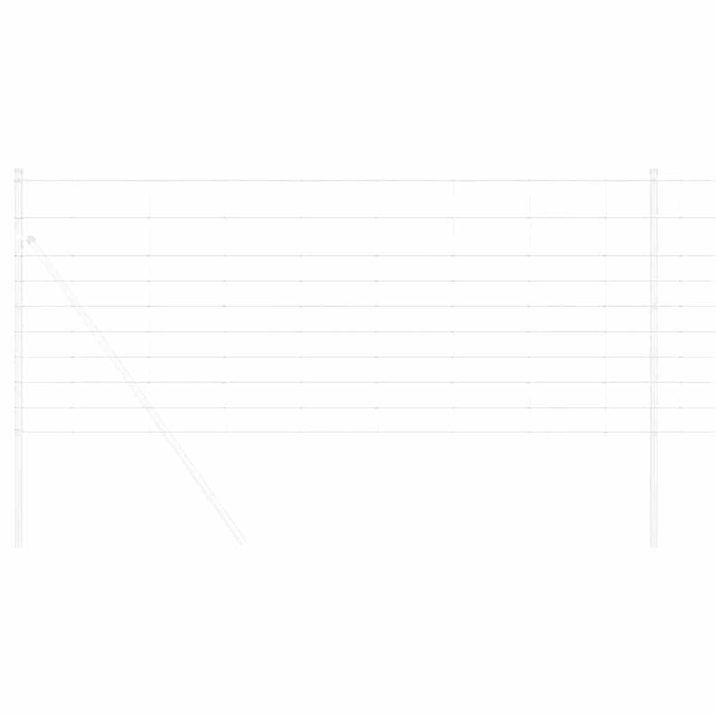 Ganyklų tvora Sidabro 50 x 1 m Galvanizuotas plienas