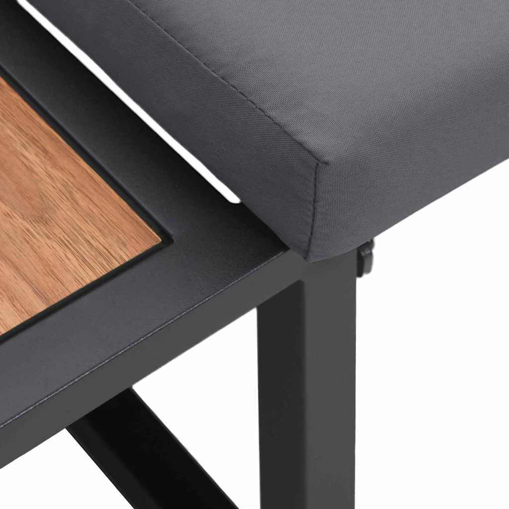 2-vietė sodo sofa su antracito pagalvėmis