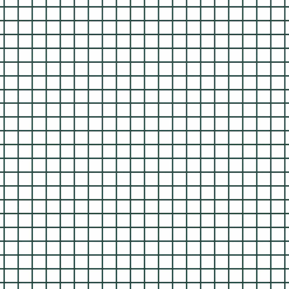 Suvirinto vielos tvoros 1000 x 80 cm Žalia